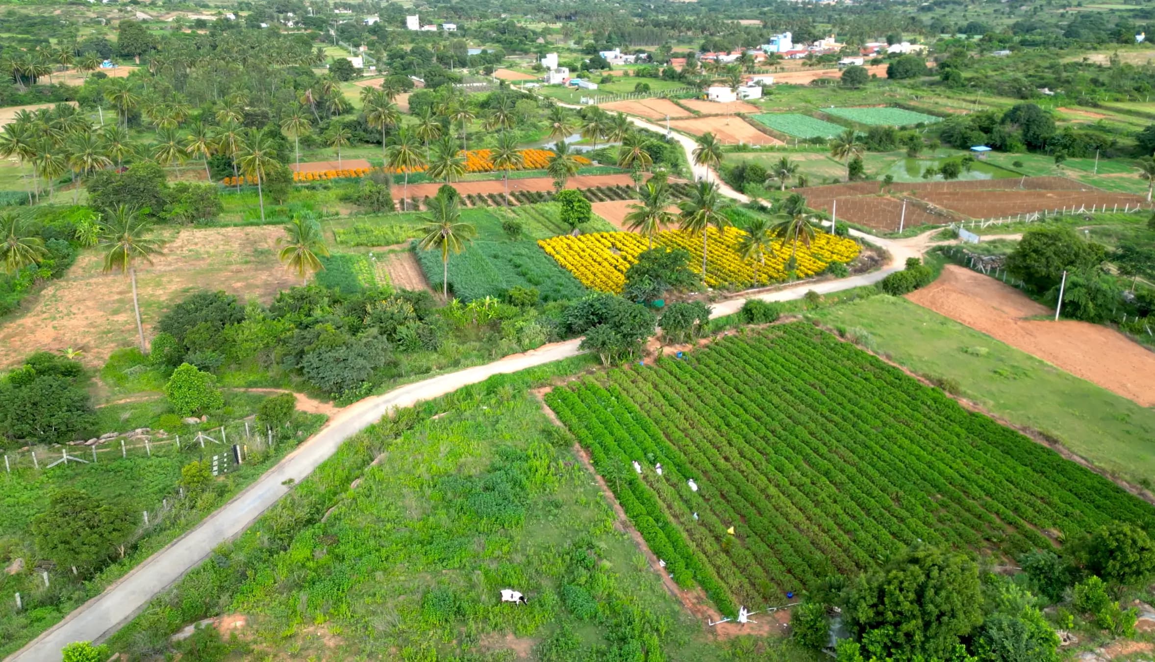 Land Restoration