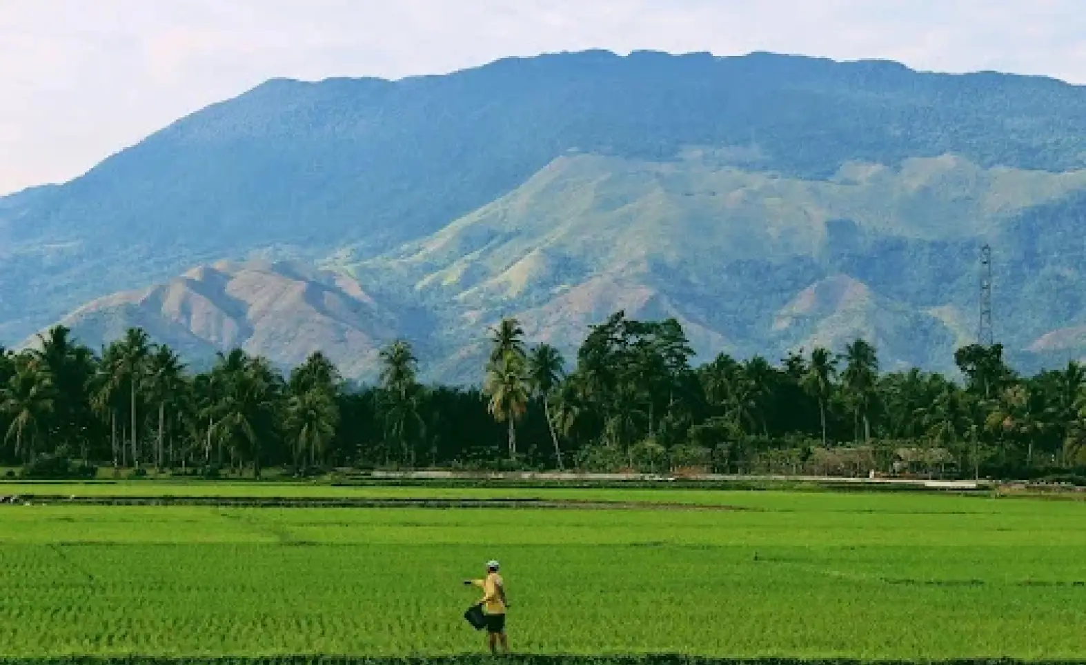 Enhanced Farm Productivity