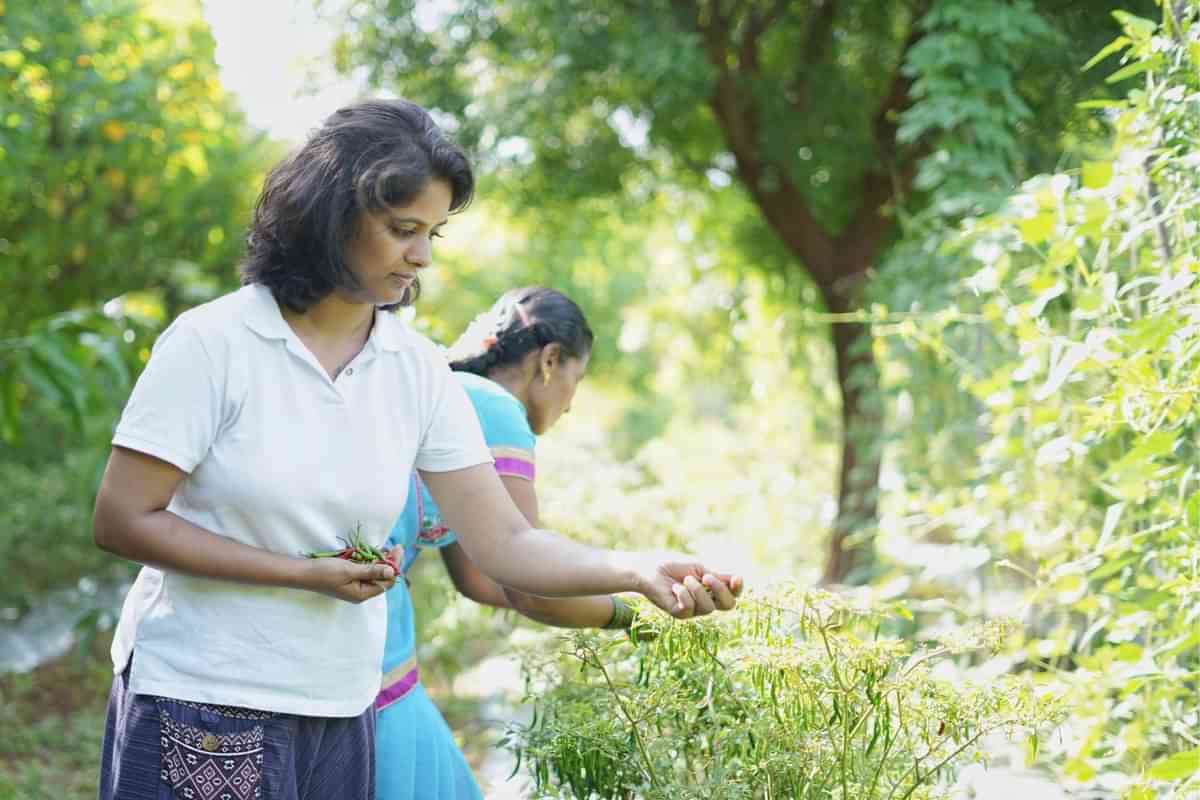 Gardening Activities for adults at Agro Resorts